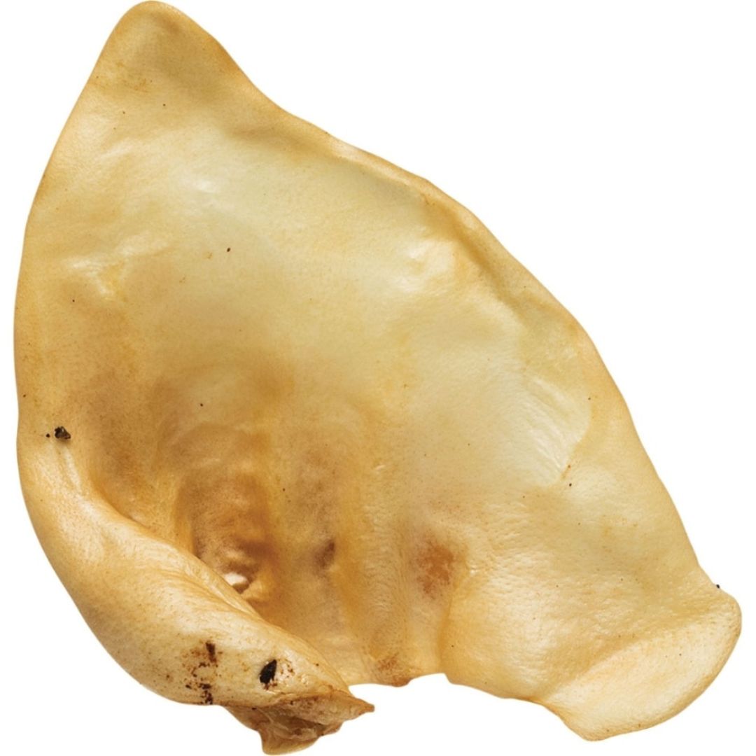 SOW EARS