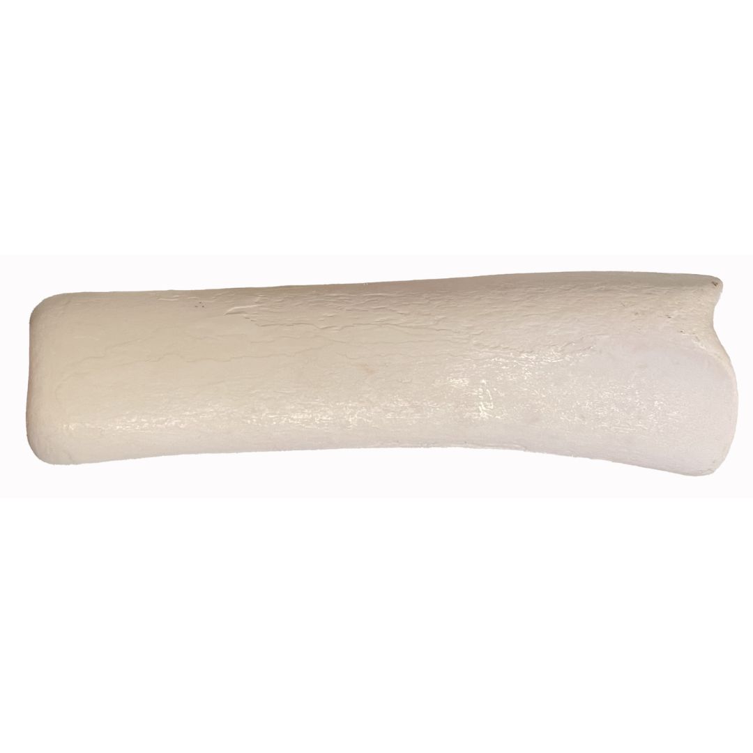 WHITE BONE 8-9IN