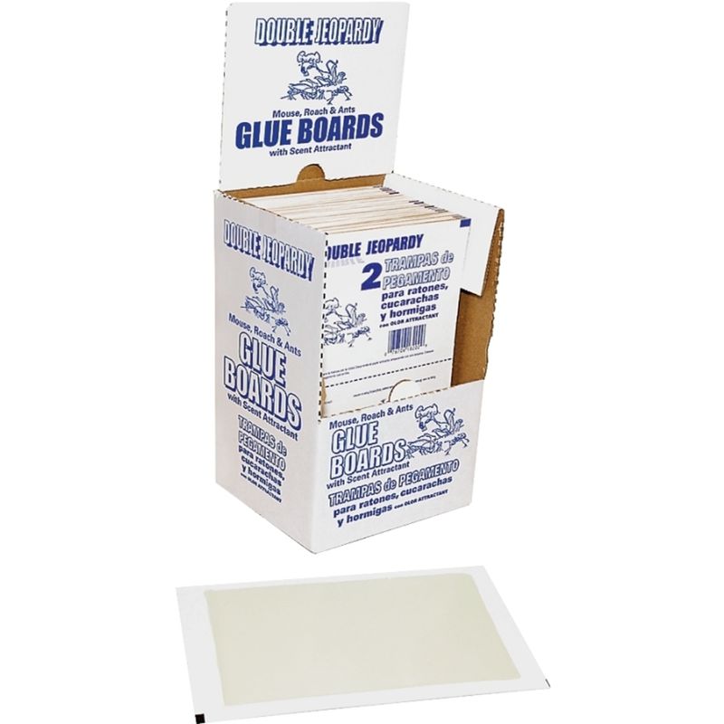 DOUBLE JEOPARDY GLUE BOARDS