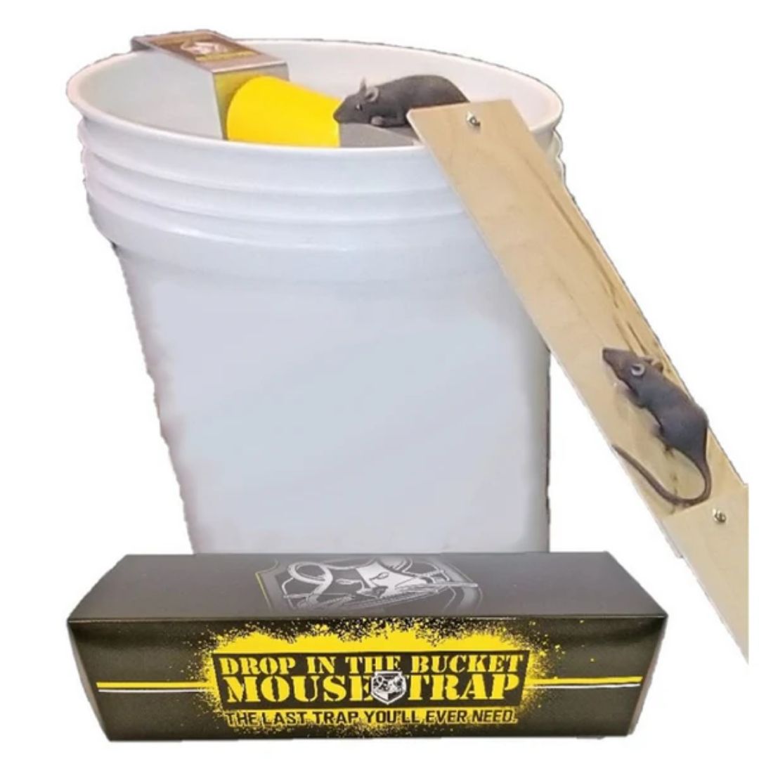 DROP IN THE BUCKET MOUSE TRAP
