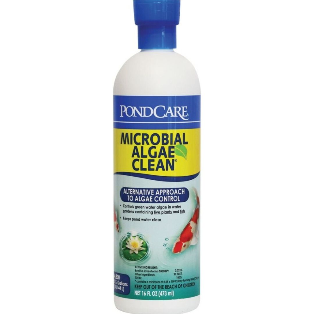 MICROBIAL ALGAE CLEAN 16OZ