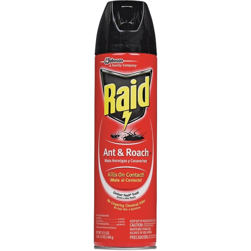 21613 RAID ROACH/ANT KILLER