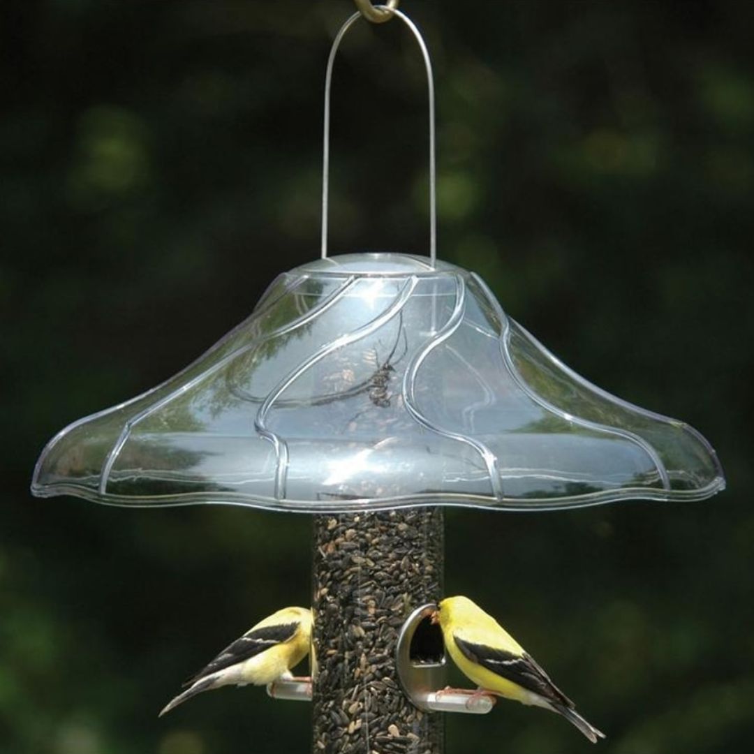 BIRD FEEDER DOME