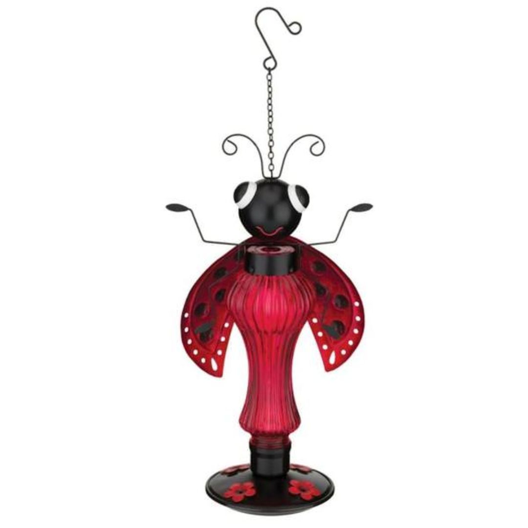 LADYBUG BOBBLE HEAD HUMMINGBIRD FEEDER
