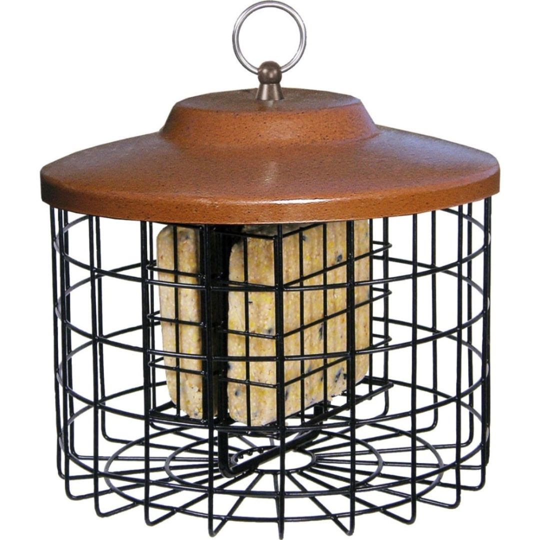 SQUIRREL PROOF DOUBLE SUET FEEDER