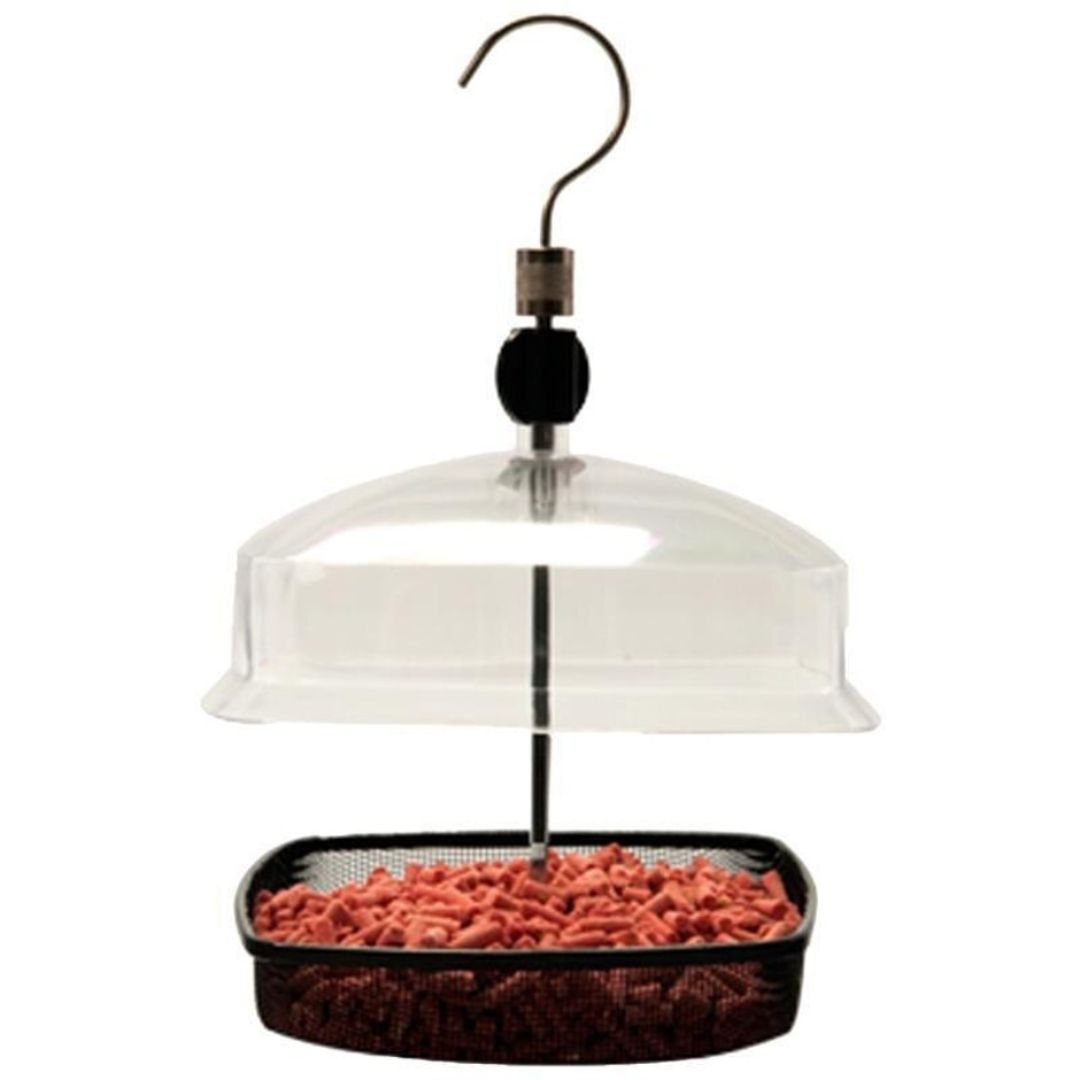MEALWORM FEEDER