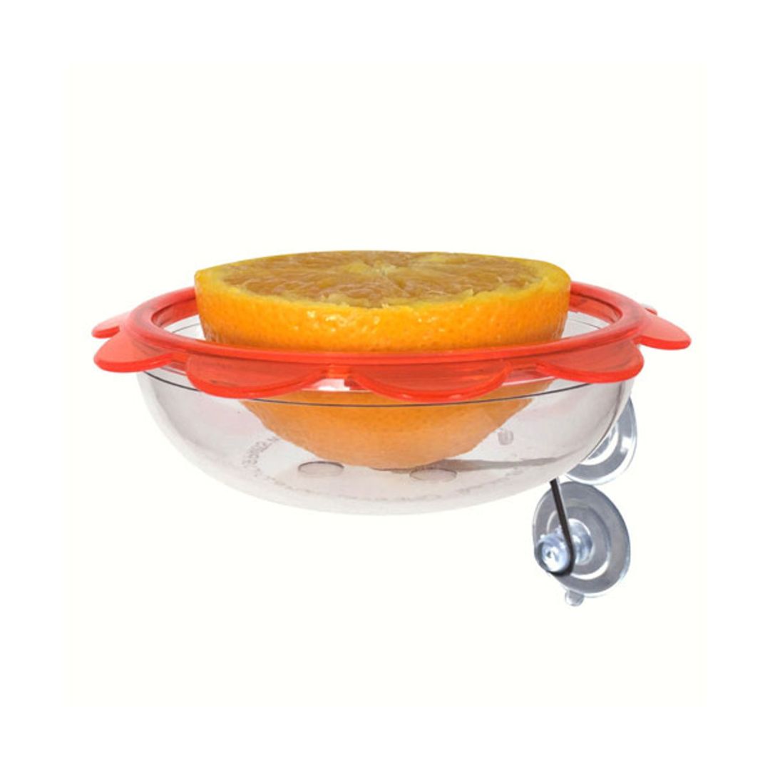 MARMALADE ORIOLE WINDOW FEEDER