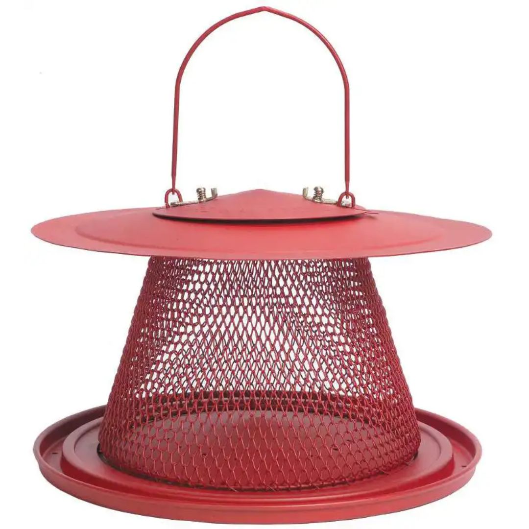 NO NO MESH CARDINAL FEEDER