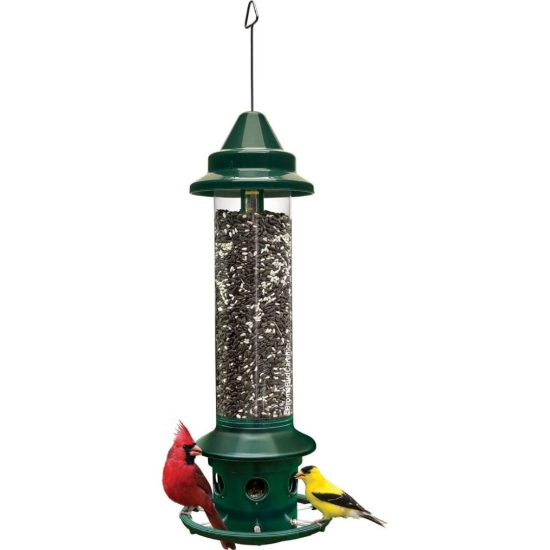 SQUIRREL BUSTER PLUS