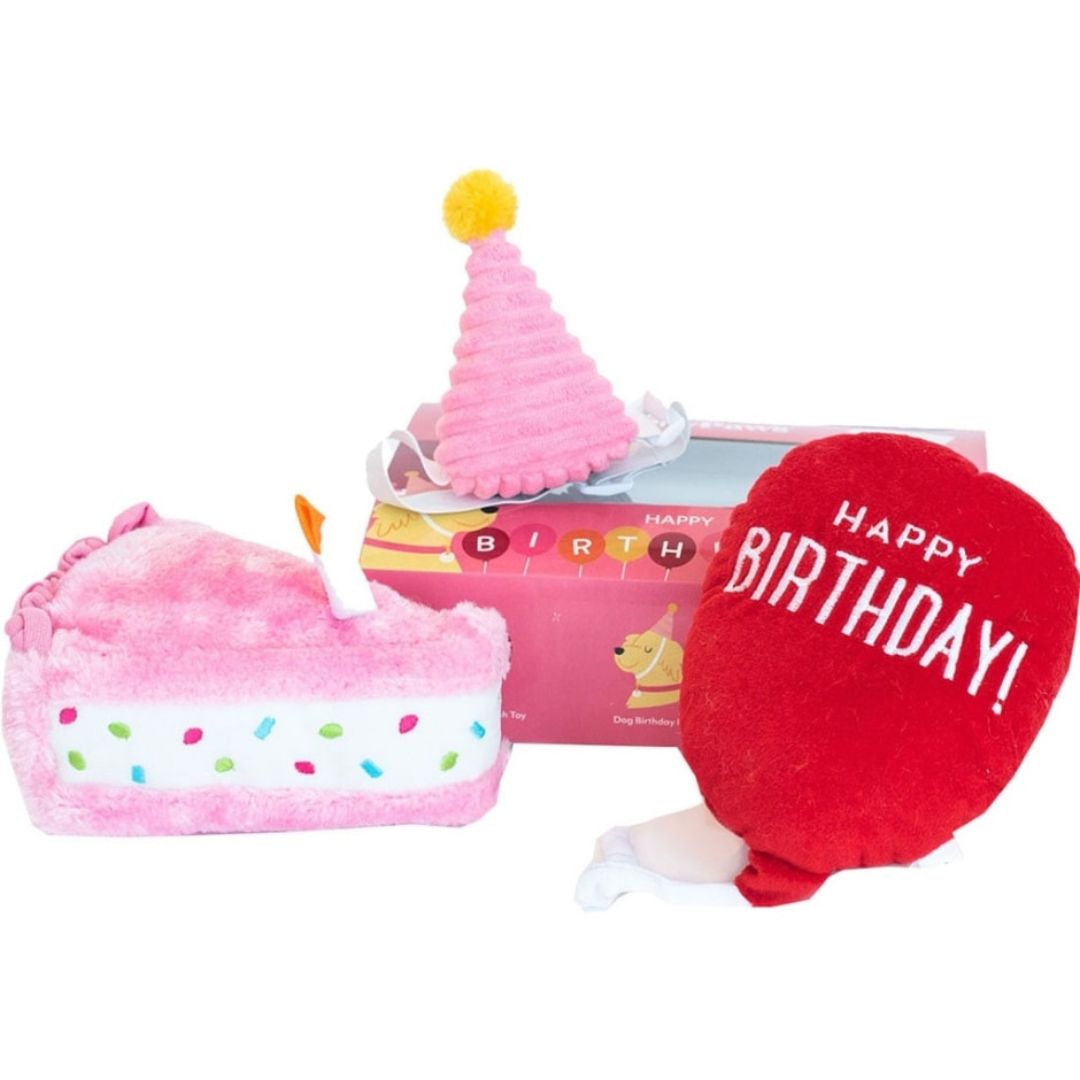 ZIPPYPAWS BIRTHDAY BOX GIRL