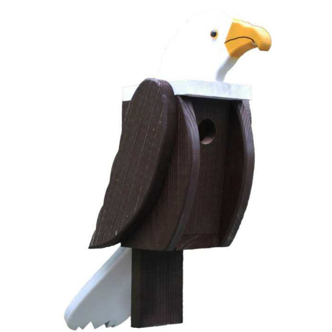 EAGLE SHAPED HOUSE