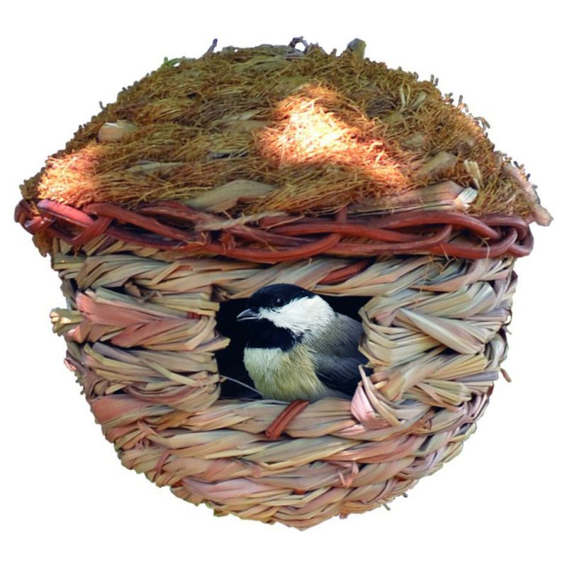 ROOSTING POCKET ROUND