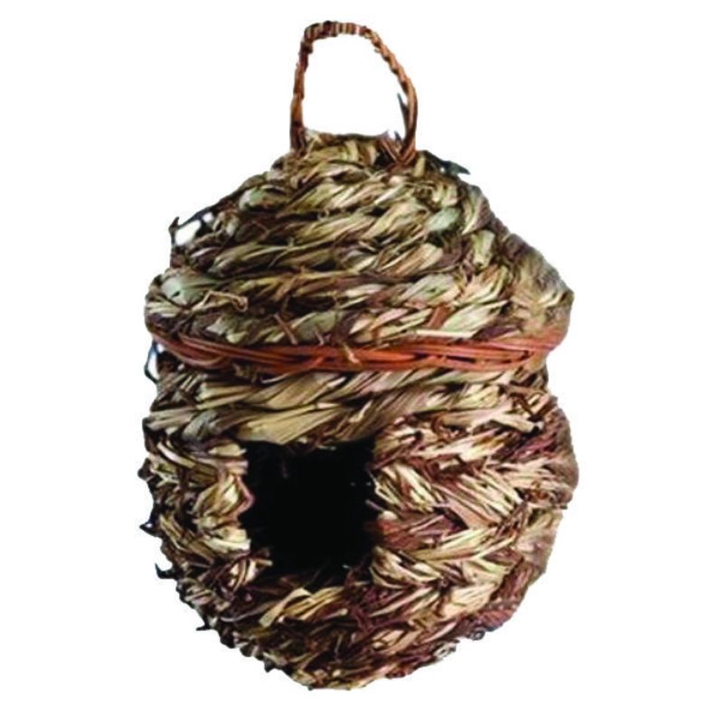 ROOSTING POCKET ACORN