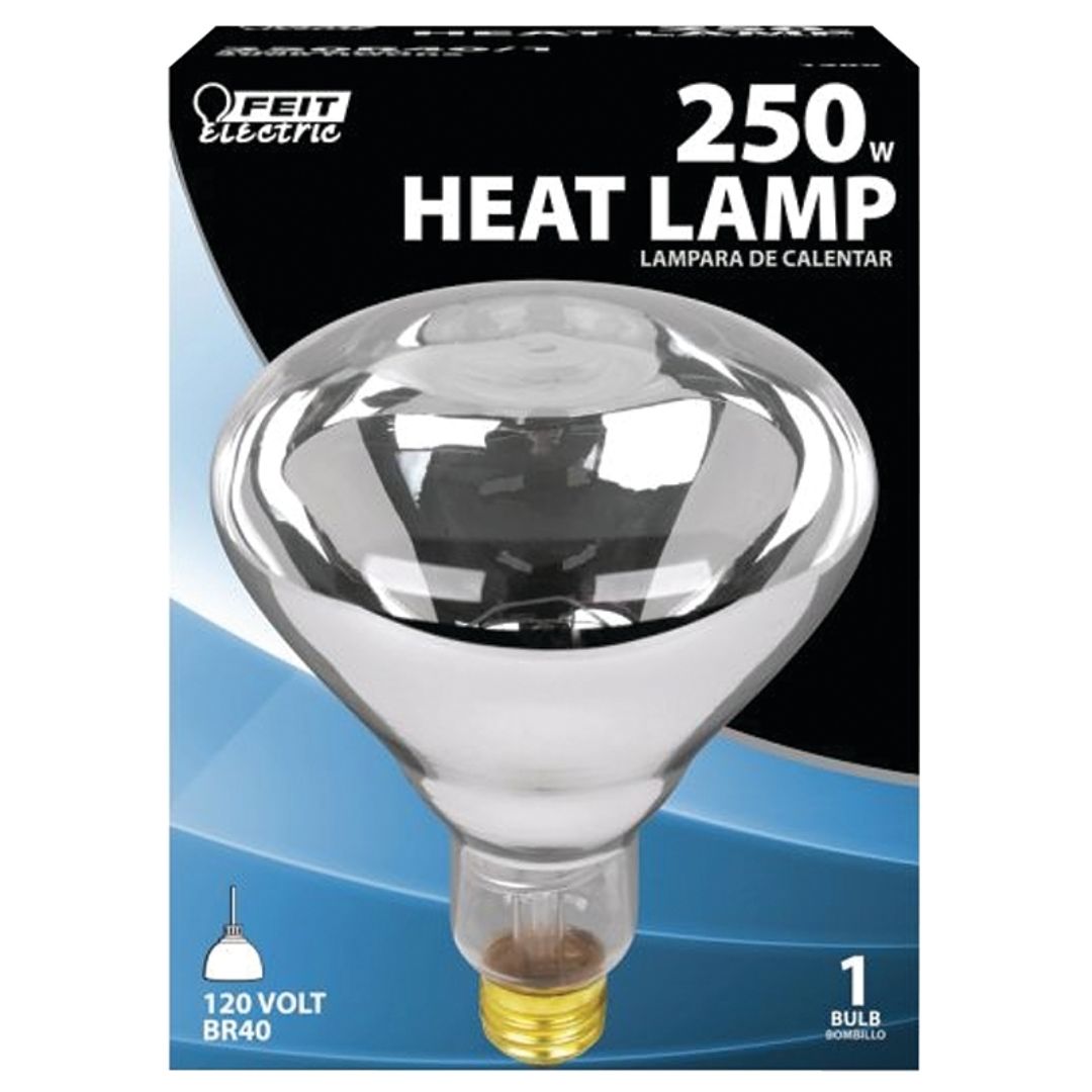 CLEAR HEAT LAMP 250R40/1 250W