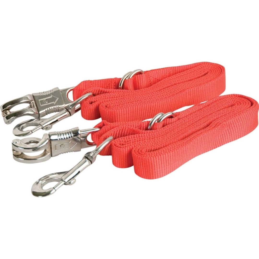 NYLON CROSS TIES RED 5-9FT