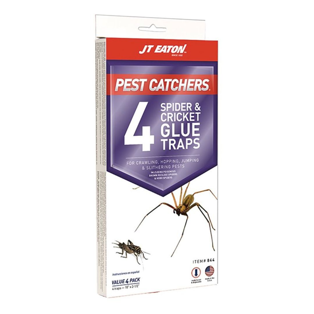 SPIDER &amp; CRICKET GLUE TRAPS 4PK