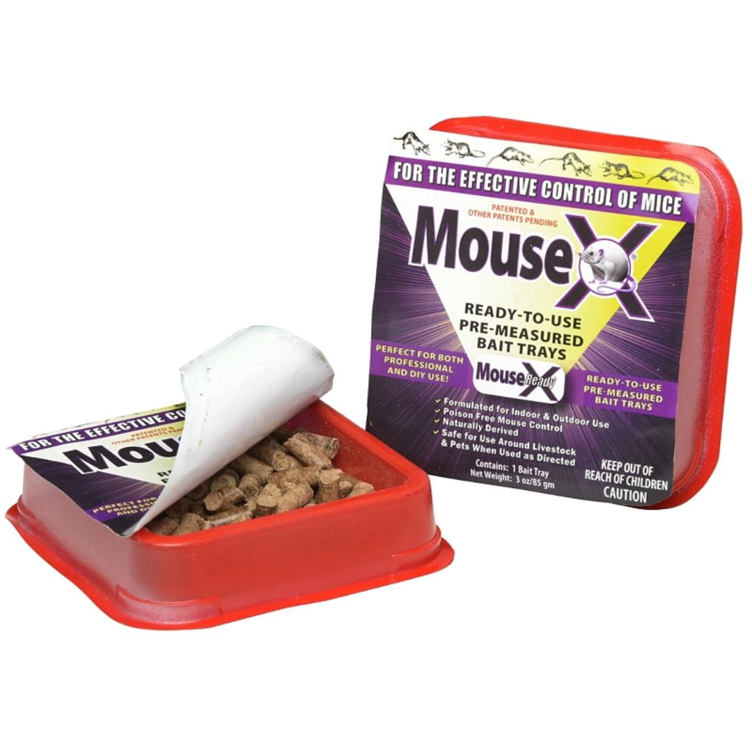 MOUSEX MOUSE BAIT TRAYS 6OZ