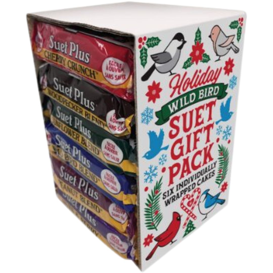 HOLIDAY SUET 6PK