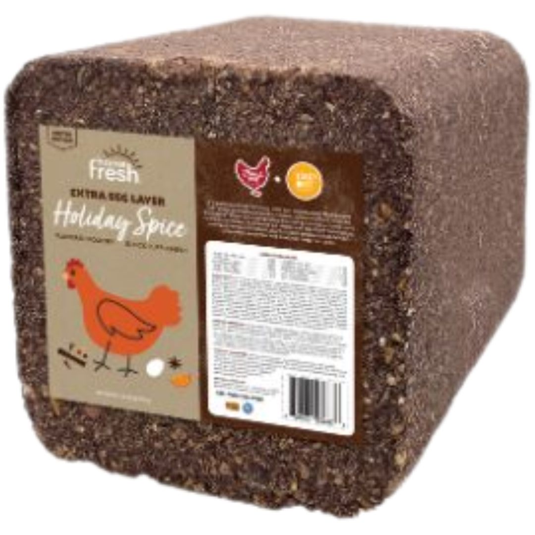 HOME FRESH EXTRA EGG HOLIDAY SPICE BLOCK