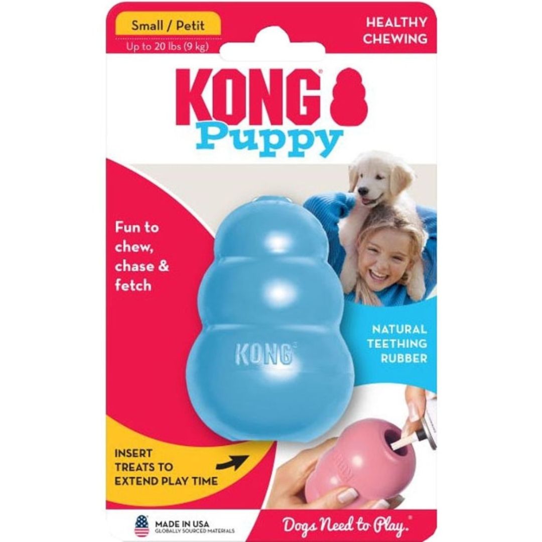 KONG PUPPY SM