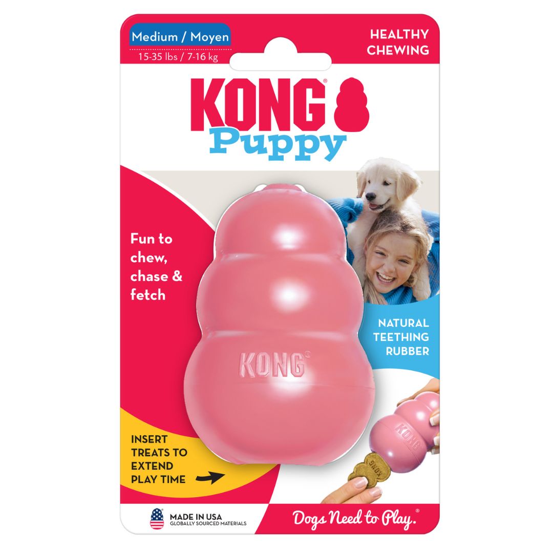 KONG PUPPY MED