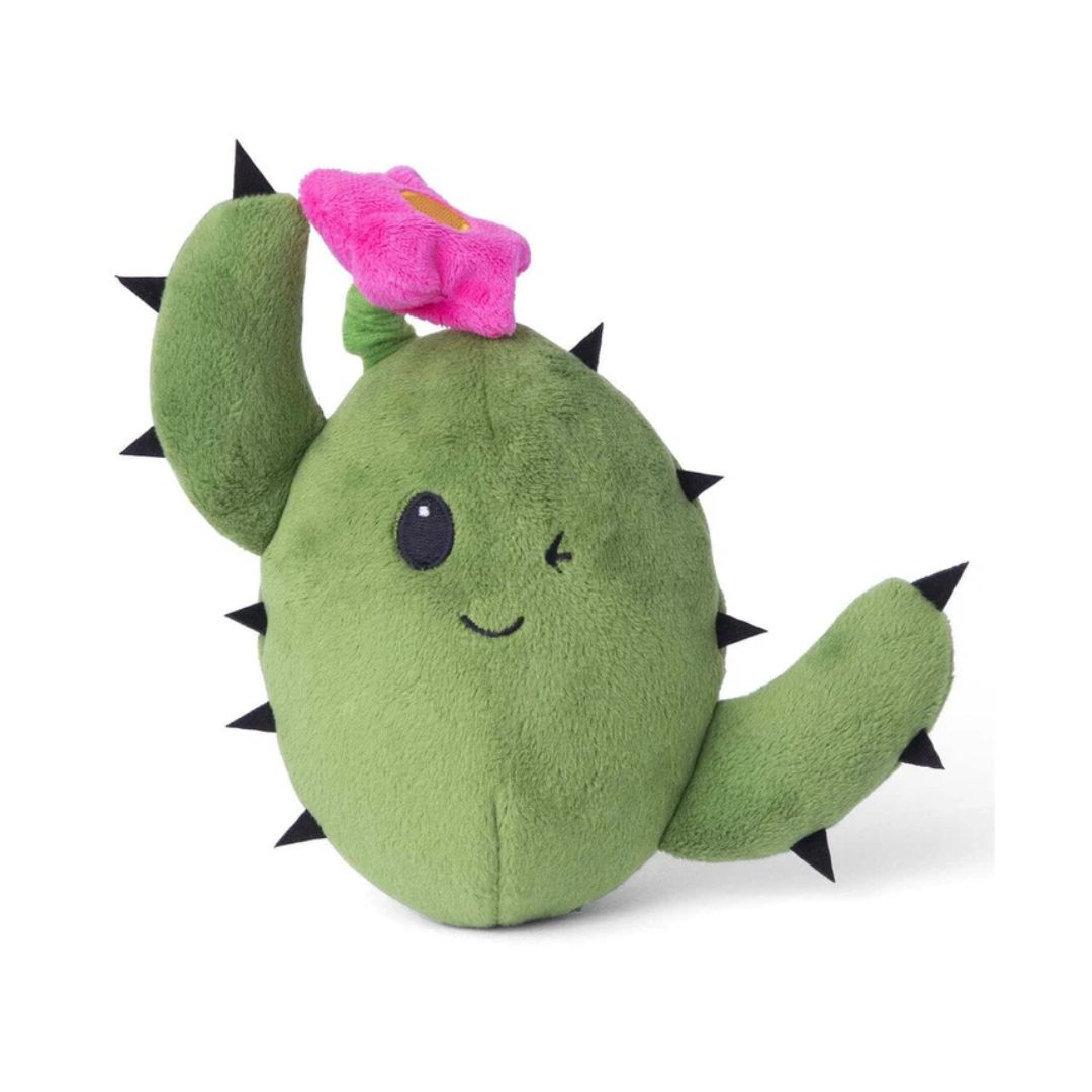 CONSUELA THE CACTUS