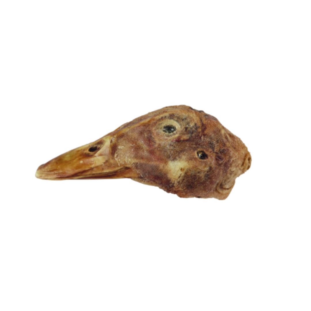 VITAL ESSENTIALS DUCK HEAD