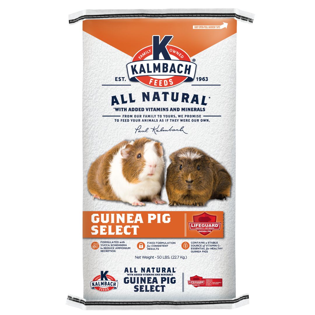 GUINEA PIG SELECT KALMBACH 50LB