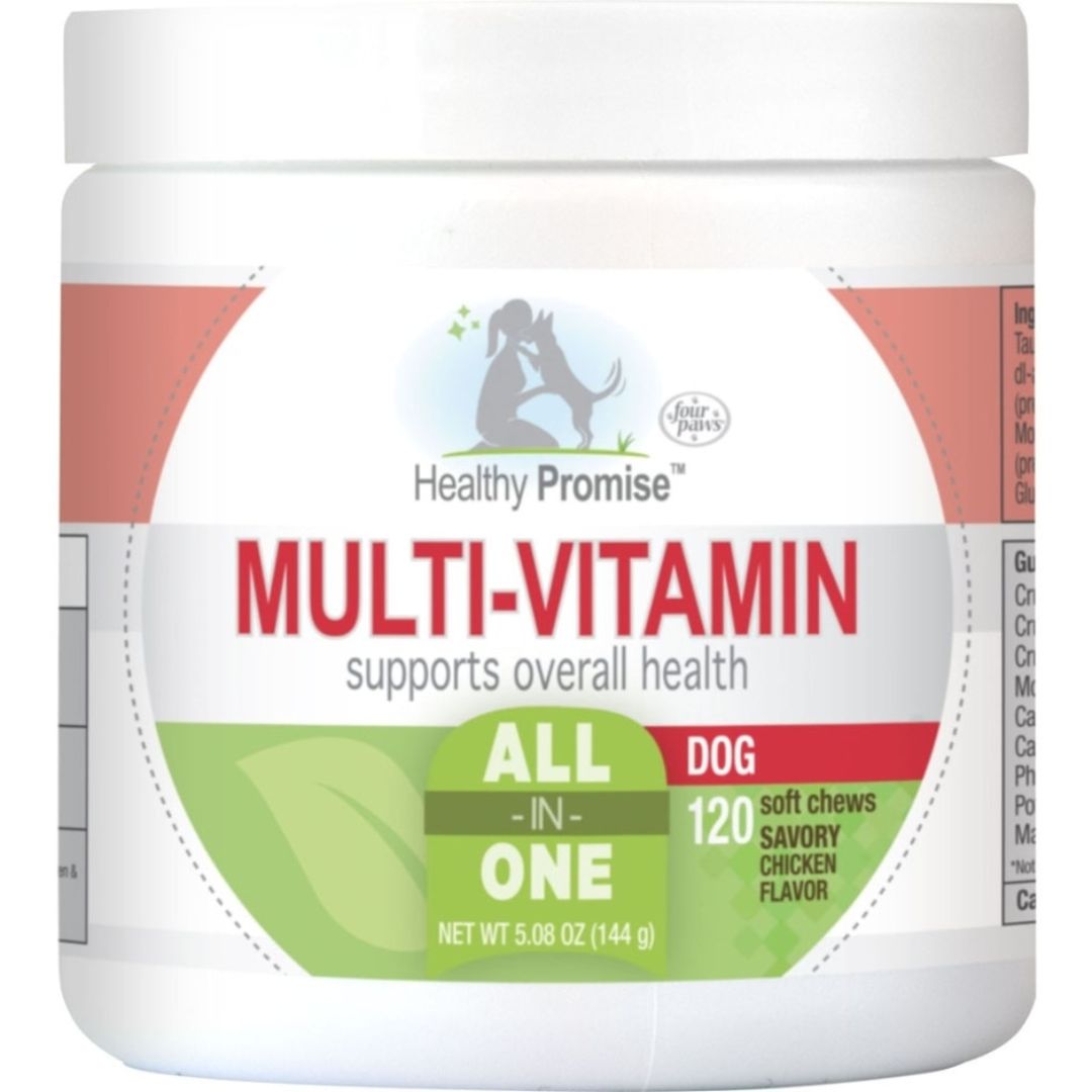 HEALTHY PROMISE MULTI-VITAMIN 120CT