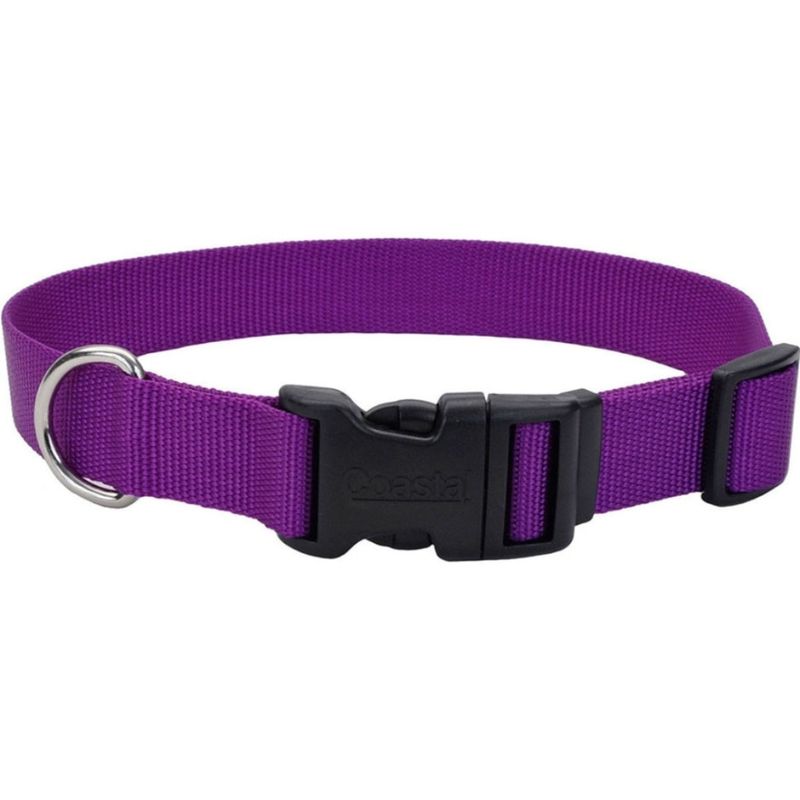 ADJ COLLAR 10-14 PURPLE COASTAL