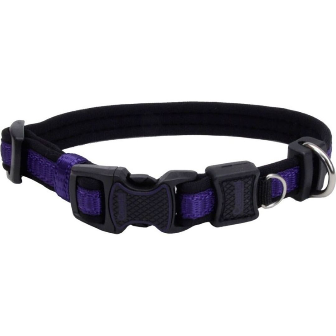 ADJ COLLAR 10-14 PURPLE INSPIRE