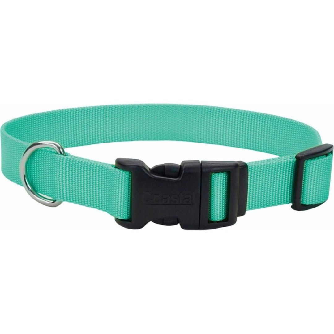ADJ COLLAR 8-12 TEAL COASTAL