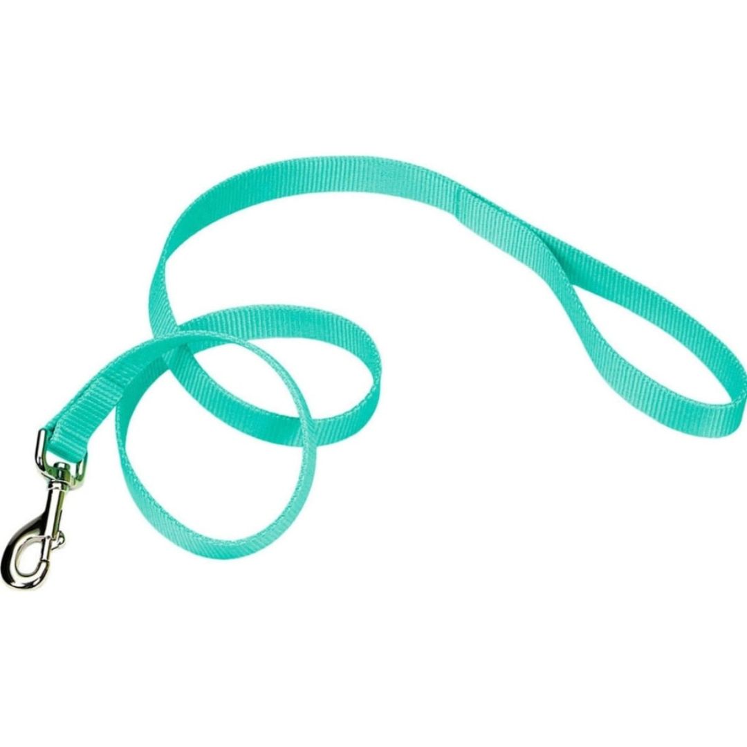 COASTAL LEAD 3/4IN TEAL 6FT