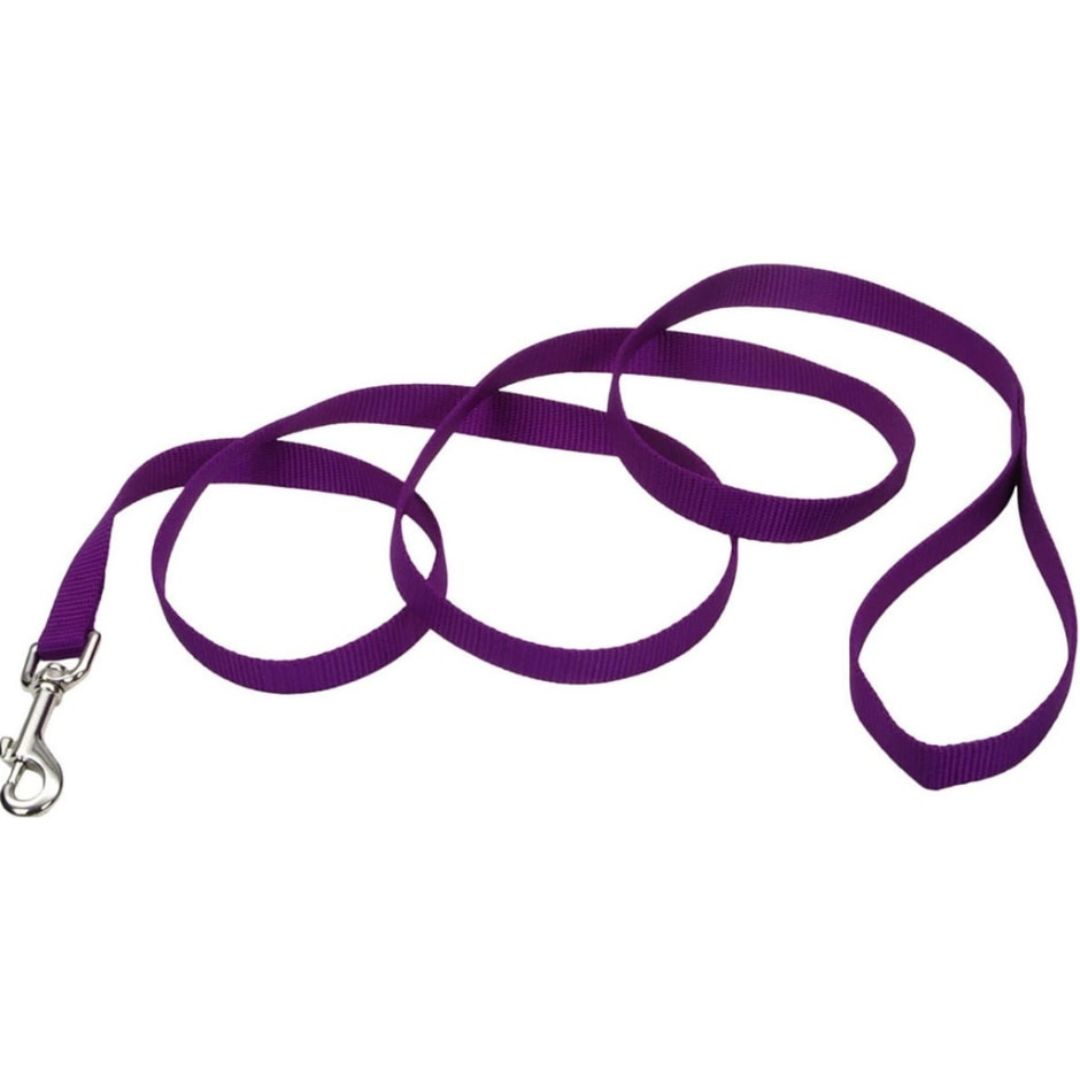 COASTAL LEAD 1IN PURPLE 6FT
