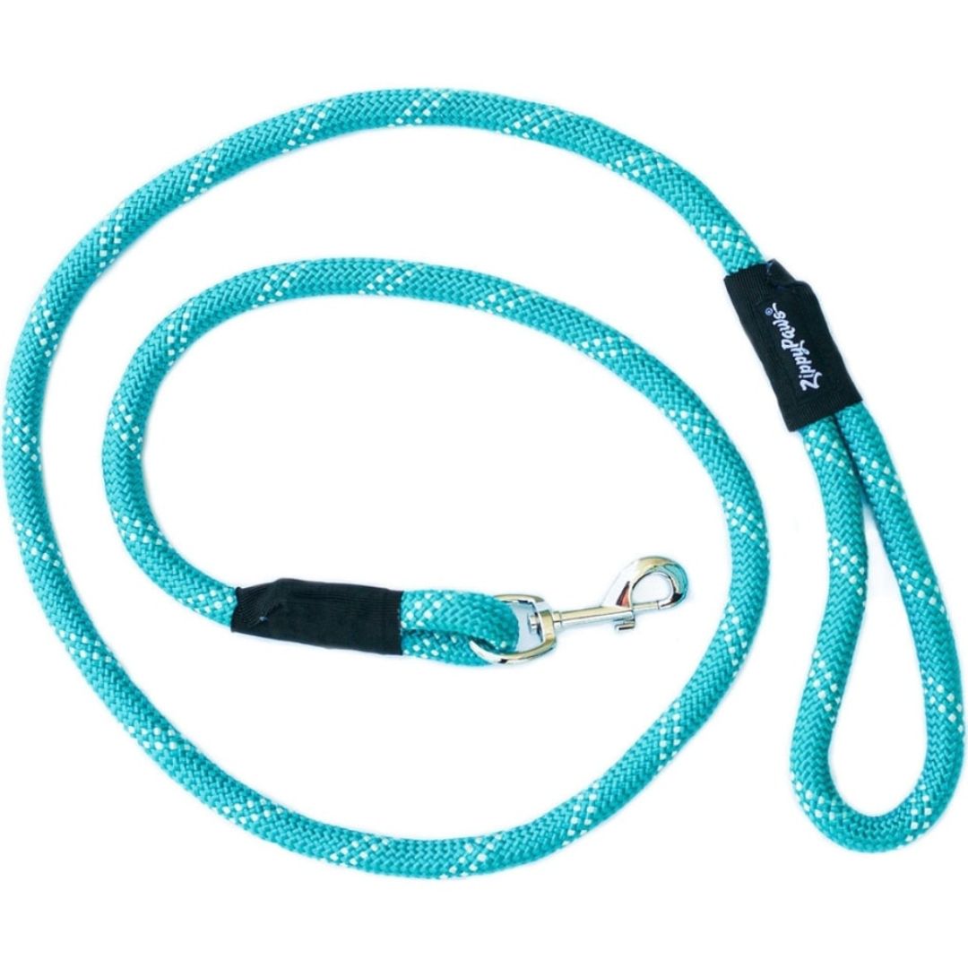 ZIPPYPAWS CLIMBER LEASH TEAL