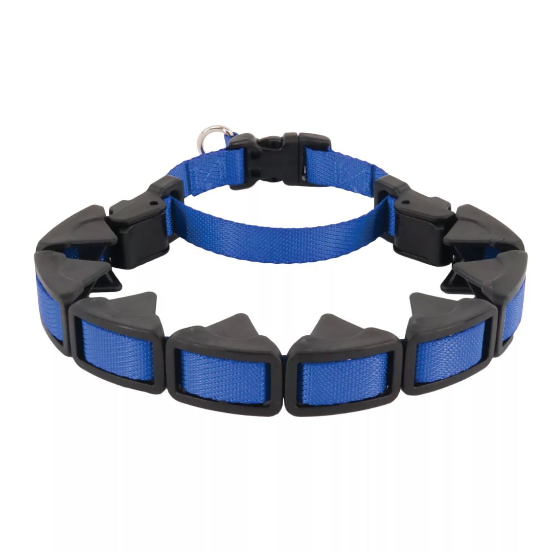 COASTAL TRAINING COLLAR BLUE 16IN