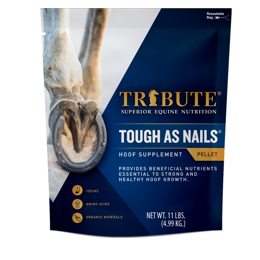 TRIBUTE TOUGH AS NAILS 11LB
