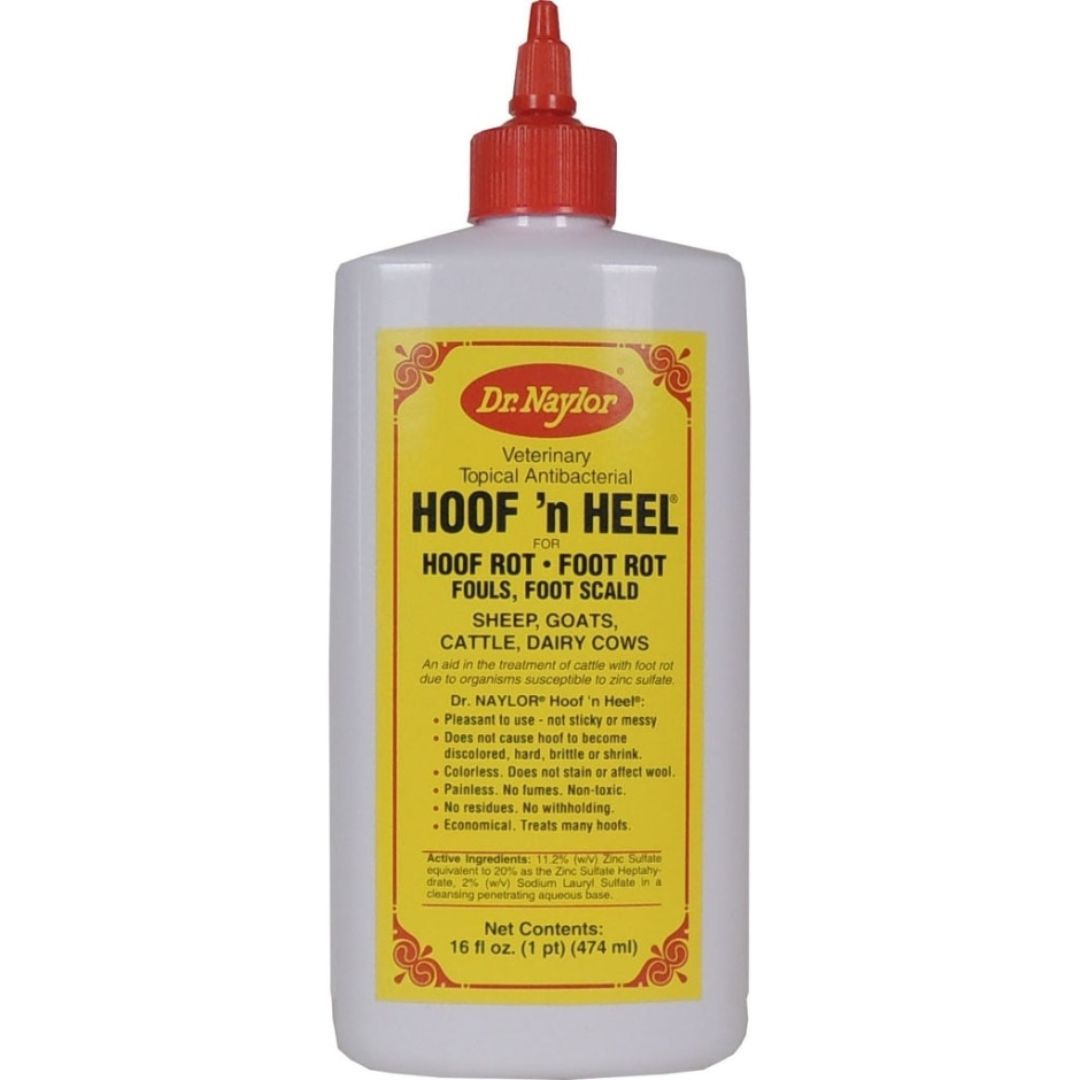 HOOF 'N HEAL 16OZ