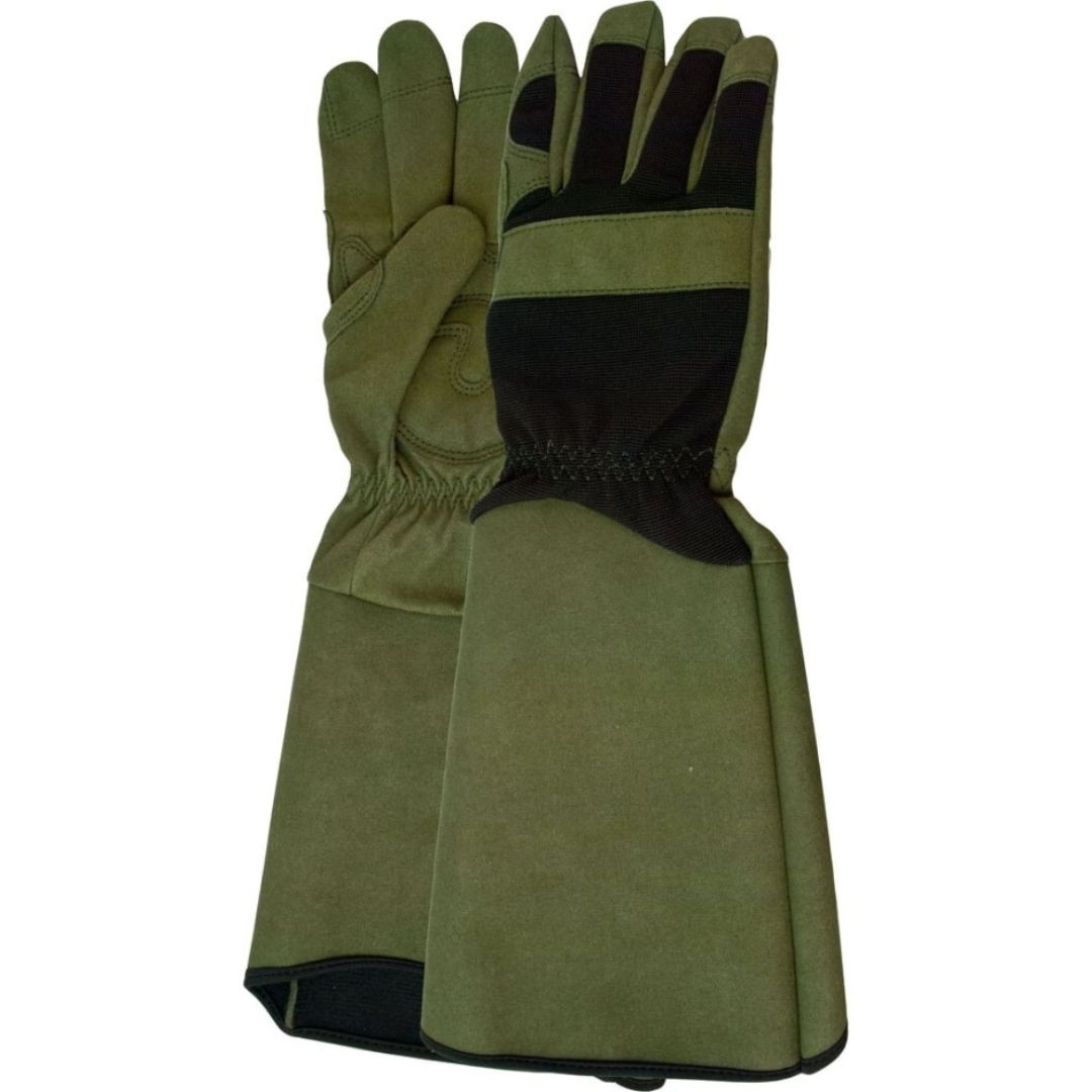 GAME OF THORNS GLOVES MENS LG