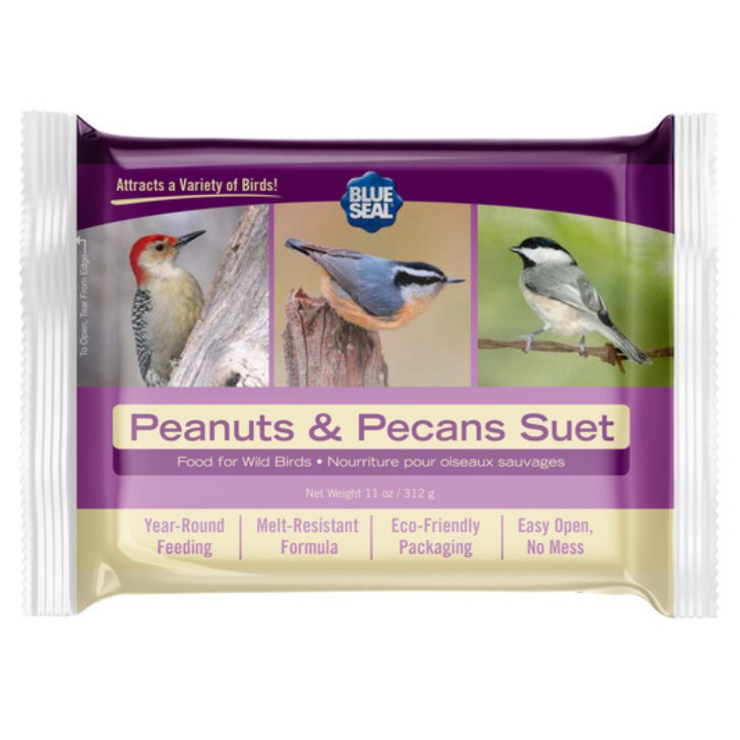 PEANUTS &amp; PECANS SUET