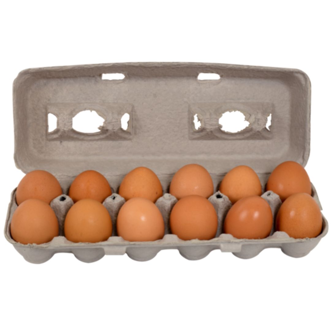 EGGS PASTURE RAISED LARGE BROWN DOZEN