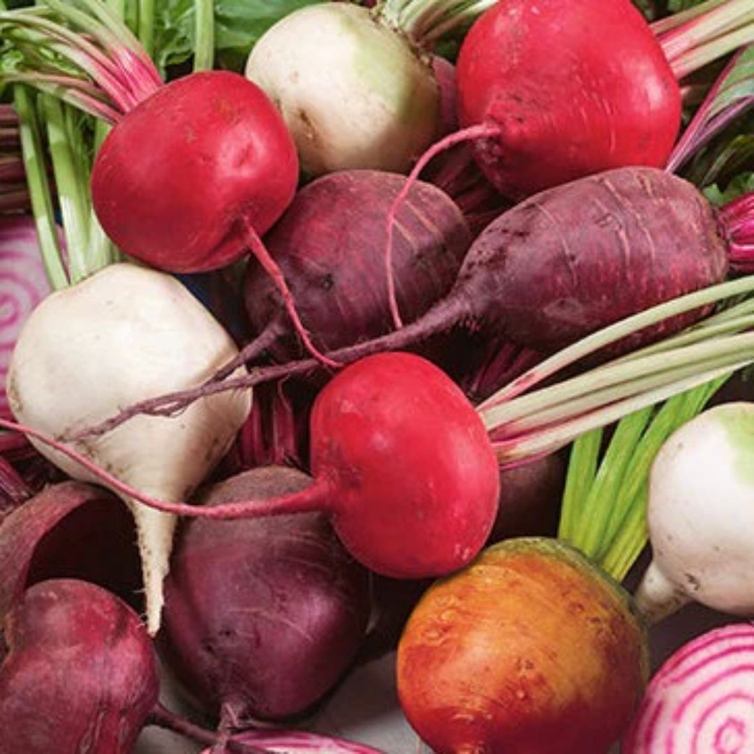 BEET RAINBOW BLEND PKT