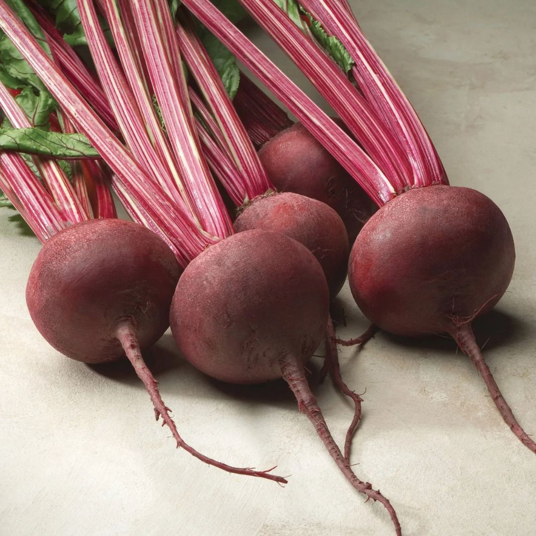 BEET RED ACE PKT