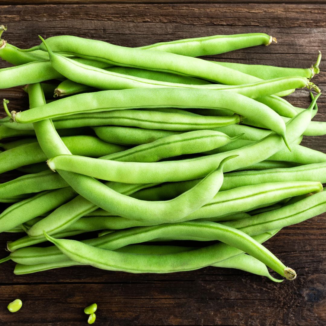 BUSH BEANS BURPEE&#39;S STRINGLESS GREEN-POD 1/2LB PKT