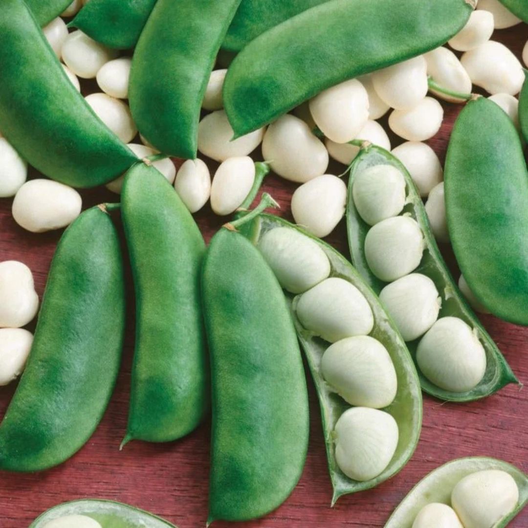 LIMA BEANS HENDERSON&#39;S BABY PKT