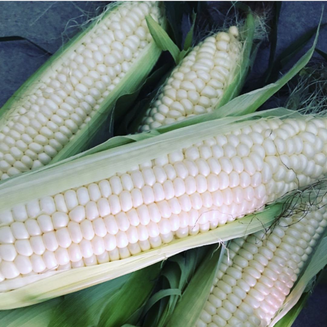 SWEET CORN WHITE SILVER QUEEN 250 SEEDS