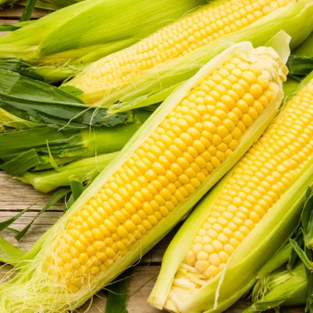 SWEET CORN YELLOW INCREDIBLE PKT