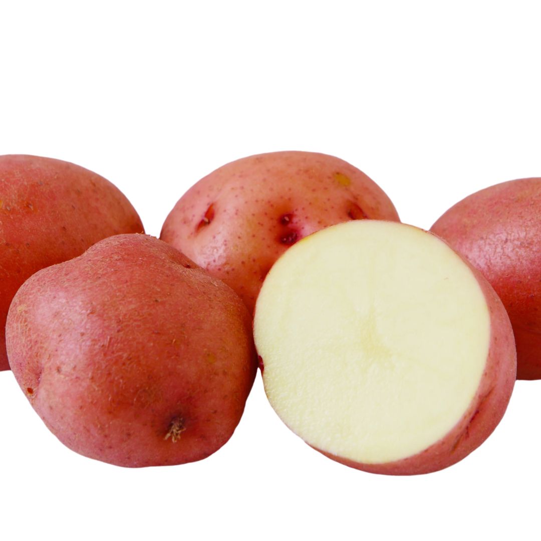 POTATOES NORLAND RED POTATOES 5LB