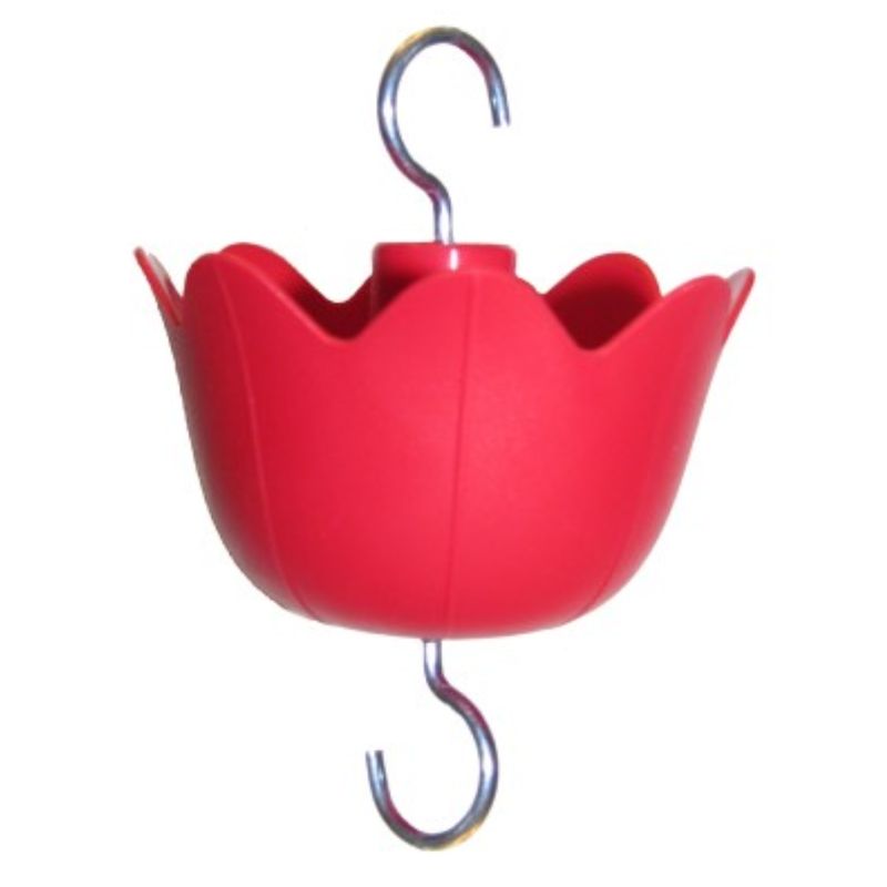 ANT MOAT HUMMER'S GALORE