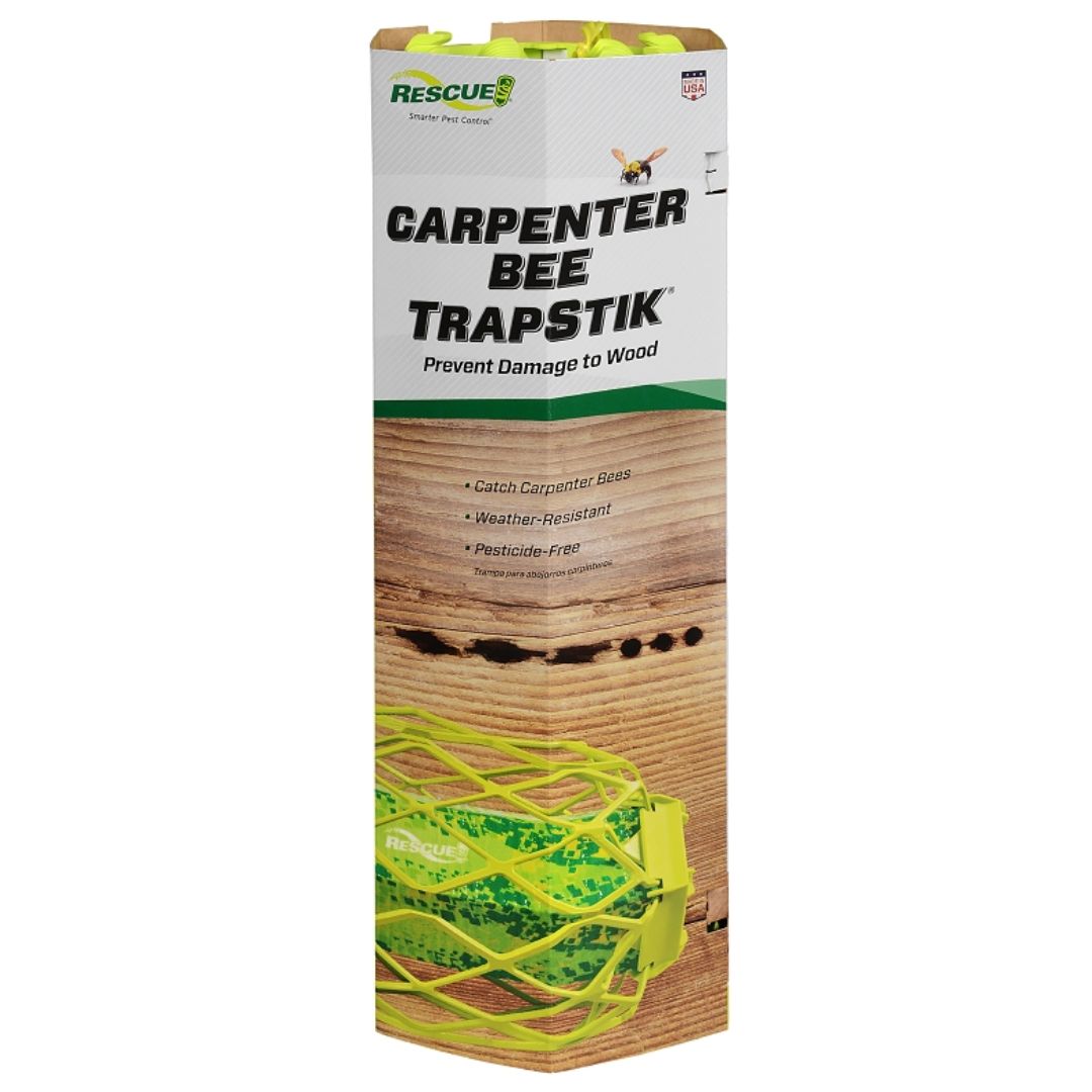 CARPENTER BEE TRAPSTICK